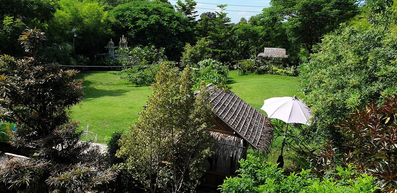 Garden with a thatched sala