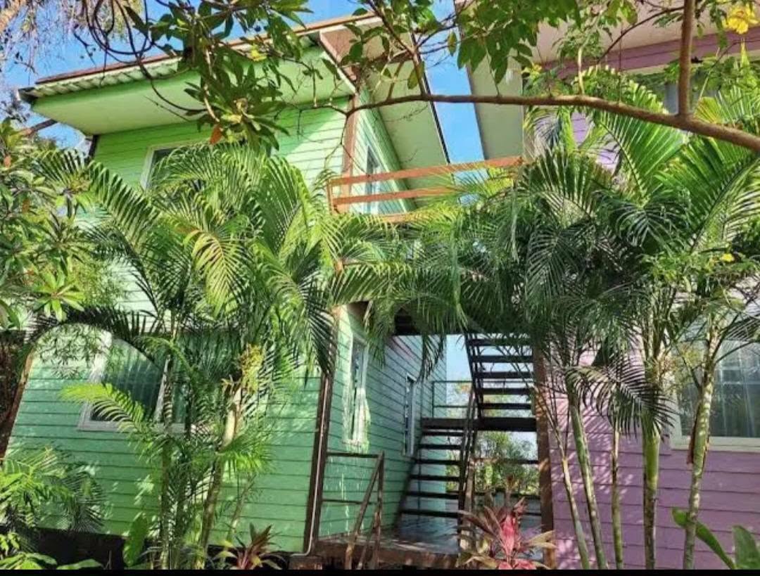 A cottage framed by palms